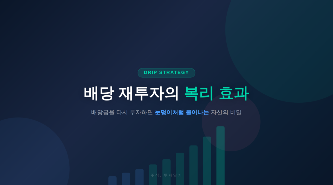 배당 재투자 DRIP 복리 효과 타이틀